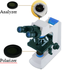 Polarizer, analyzer for the simple polarizing unit