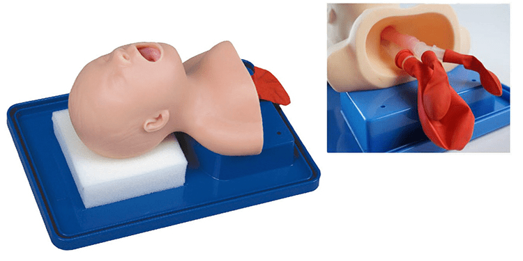 SC-J2A Neonate Head for Trachea Intubation Model 7