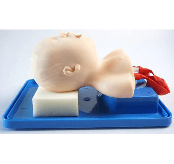 SC-J2A Neonate Head for Trachea Intubation Model 8