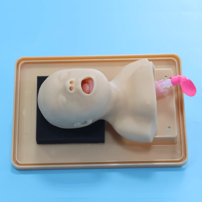 SC-J3A Advanced Infant Head for Trachea Intubation Model 7