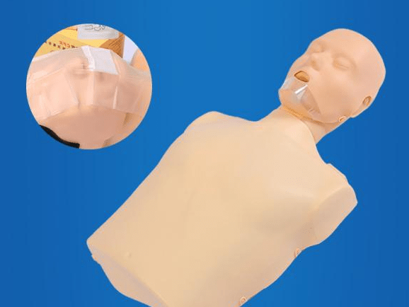 SC-CPR100A Half-body CPR Training Manikin (Simple Electronic)