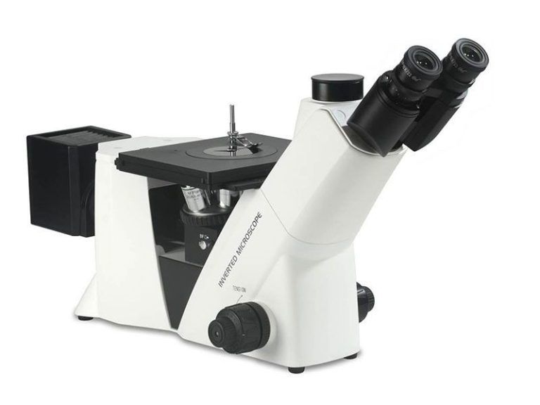 Upright vs. Inverted Metallographic Microscope: Which is Better for Industrial Inspection?