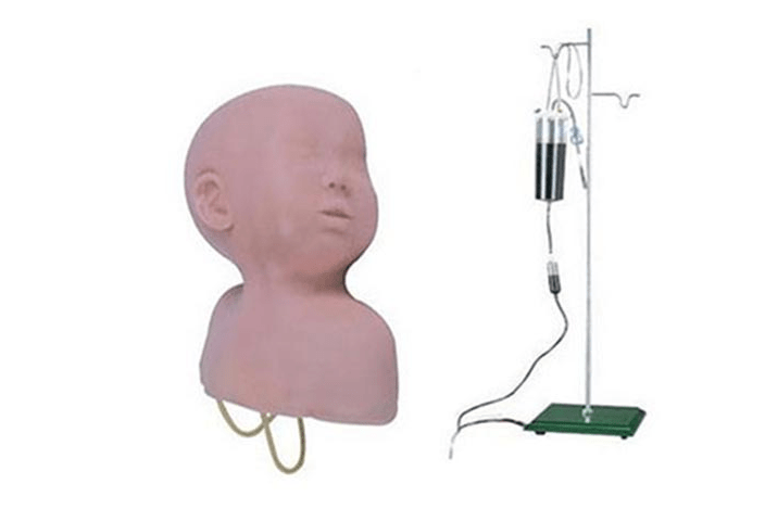 SC-HS6-1 Infant Head Venipuncture Training Model
