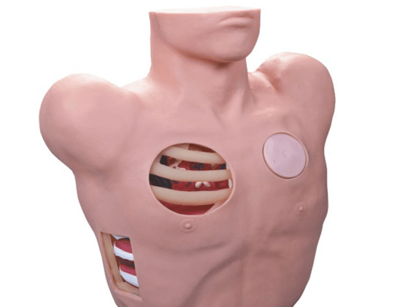 SC-L66 Thorax Puncture Drainage Model 6