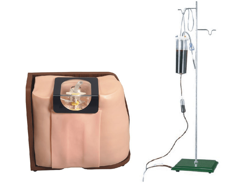 SC-L60 Spine Puncture Model 4