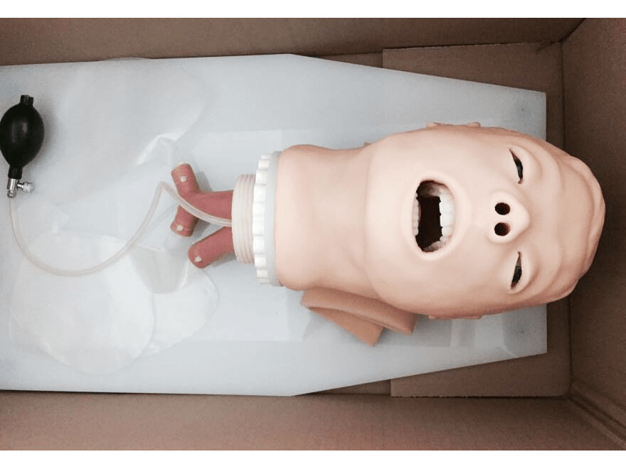 SC-J50 Trachea Intubation Training Model 8