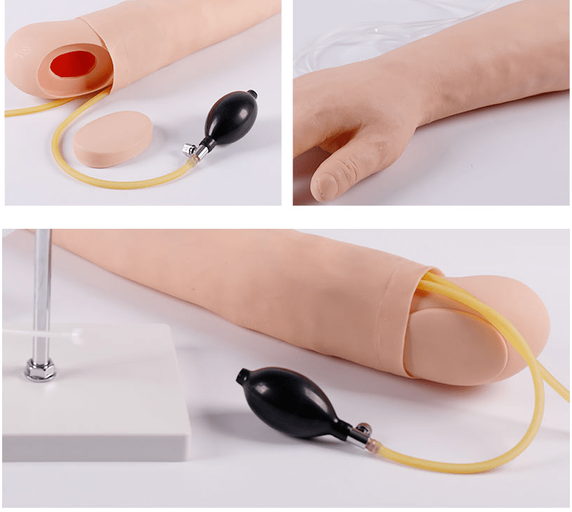 SC-HS5 Arm Artery Puncture and Intramuscular Injection Training Model