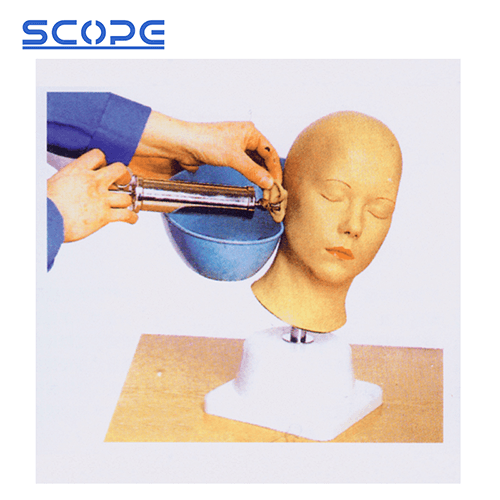 SC-LV40 Medical Training Ear Washing Manikin for Ear Syringing