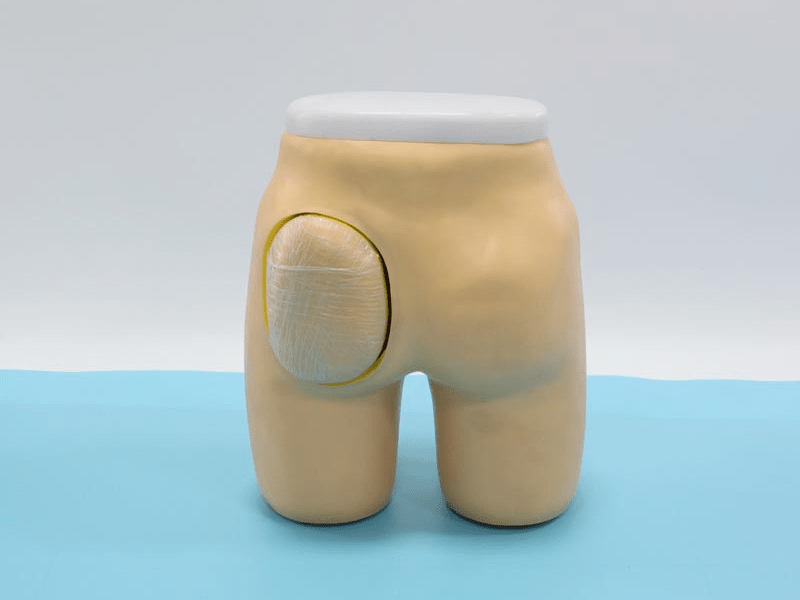 SC-H4T Advanced Hip Muscle Injection and Anatomical Structure Model