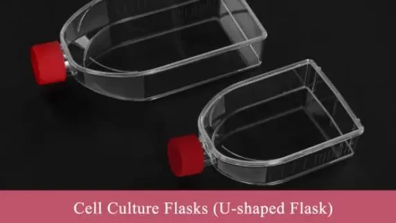 Cell Culture Flasks