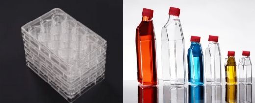 What Are the Differences and Similarities Between Cell Culture Plates and Cell Culture Flasks？
