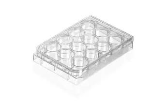 How Do I Seed Cells Onto a Cell Culture Plate?