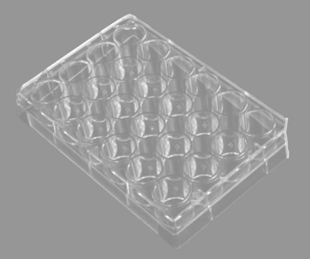 Cell Culture Plate