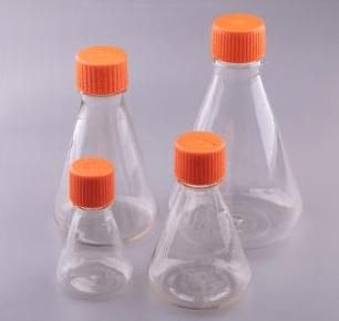 Different size of Erlenmeyer Cell Culture Flasks
