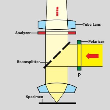 Principle of Polarizing Microscope