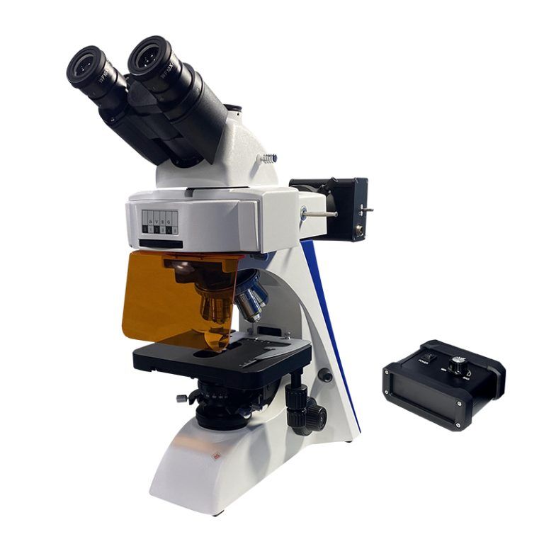 BK6000-FL Fluorescence Microscope