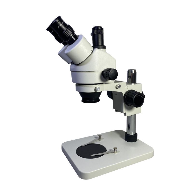 XTL7045 Series Zoom Stereo Microscope - Scopelab