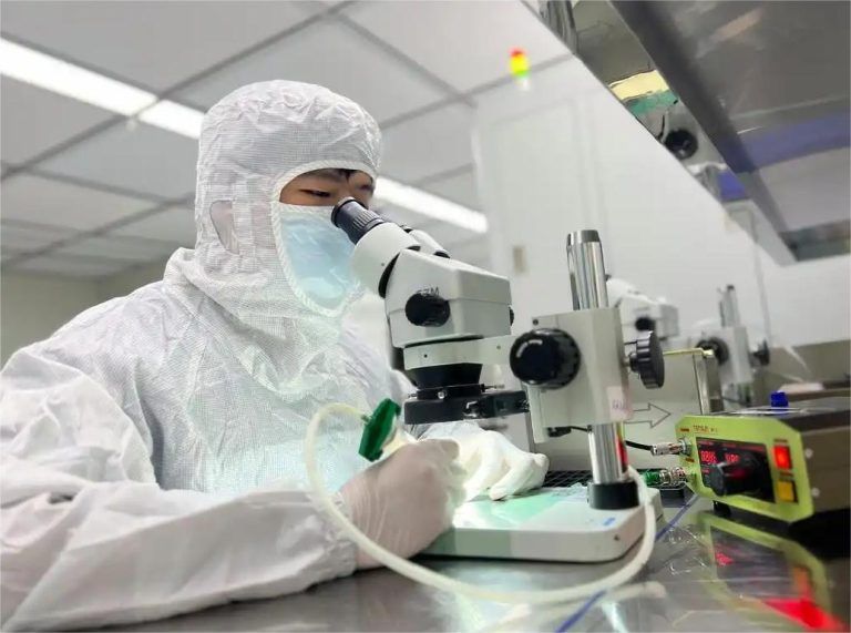 Top 5 Applications of Stereo Microscopes