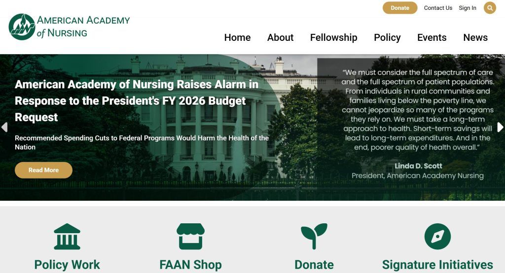 American Nursing Academy