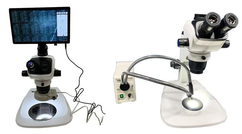 stereo microscope with camera