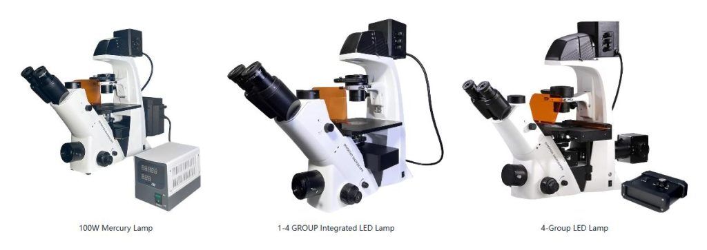 BDS500-FL Inverted Fluorescence Microscope