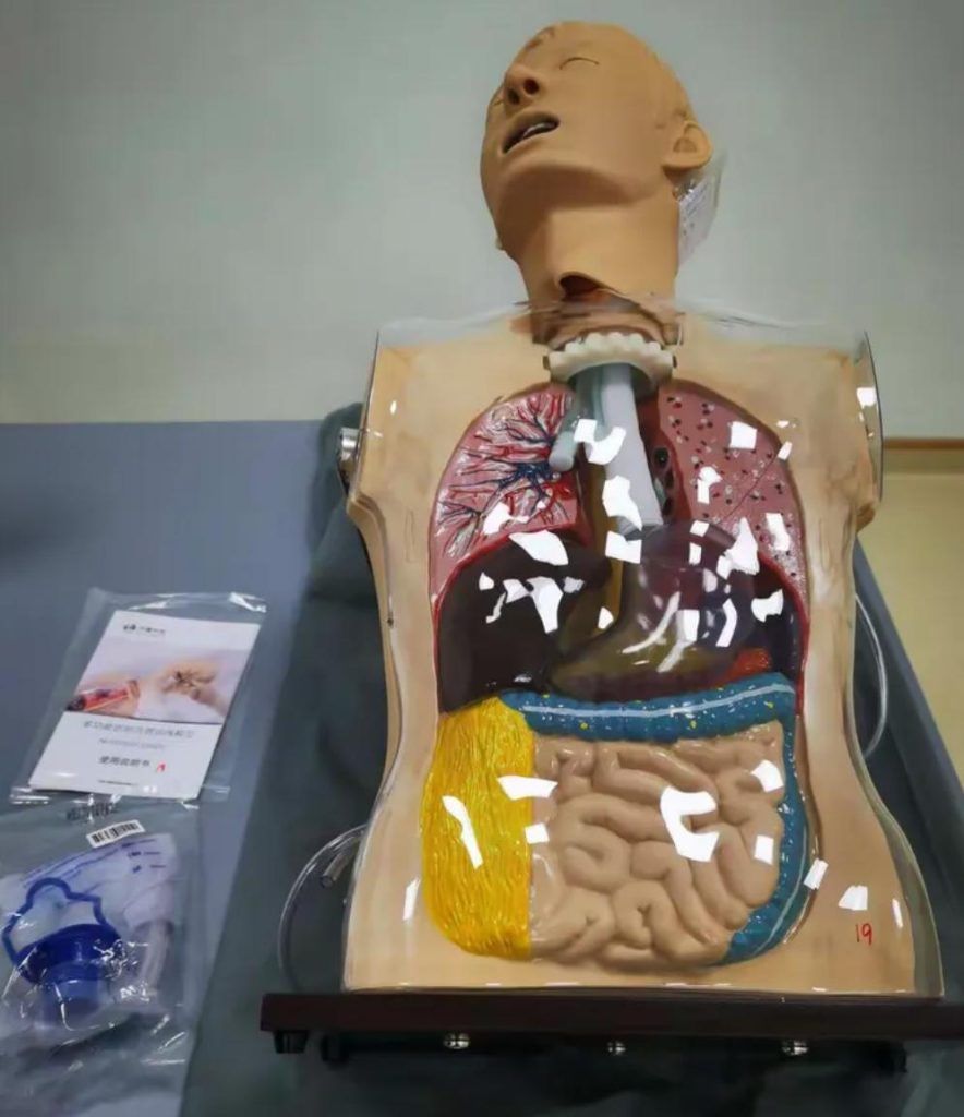 gastric lavage model
