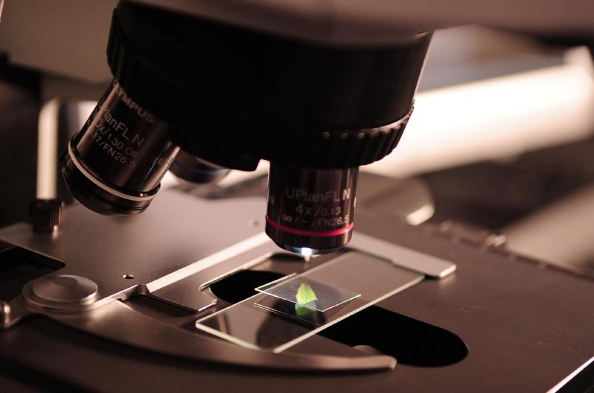 microscope for viewing cells