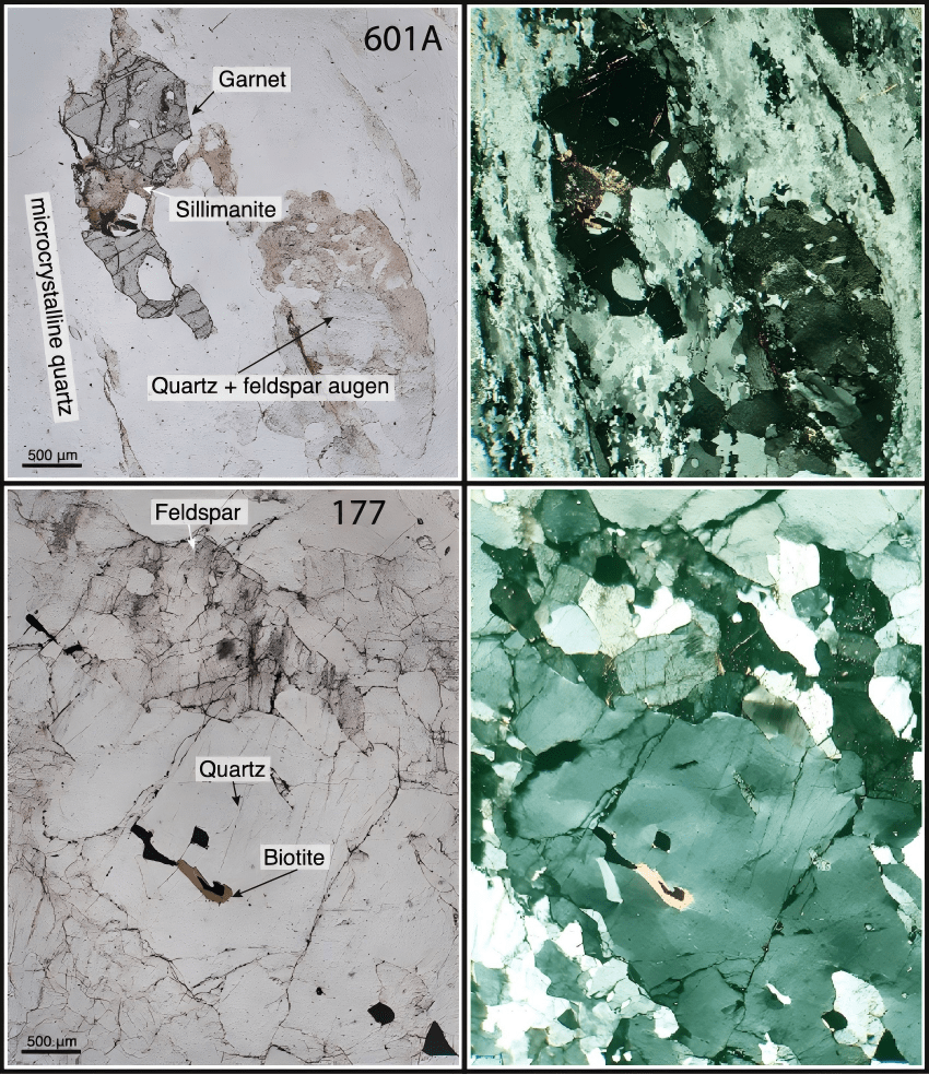 Schematic diagram of the polarizing microscope structure