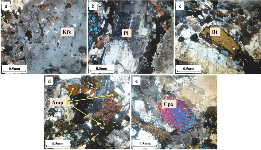 Schematic diagram of the polarizing microscope structure