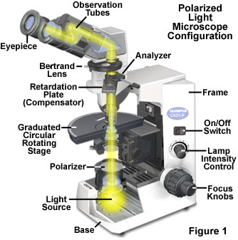 Schematic diagram of the polarizing microscope structure
