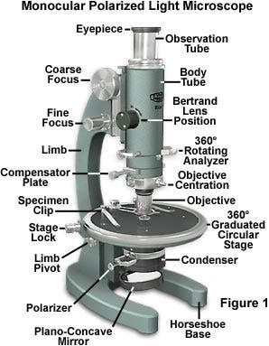 Schematic diagram of the polarizing microscope structure