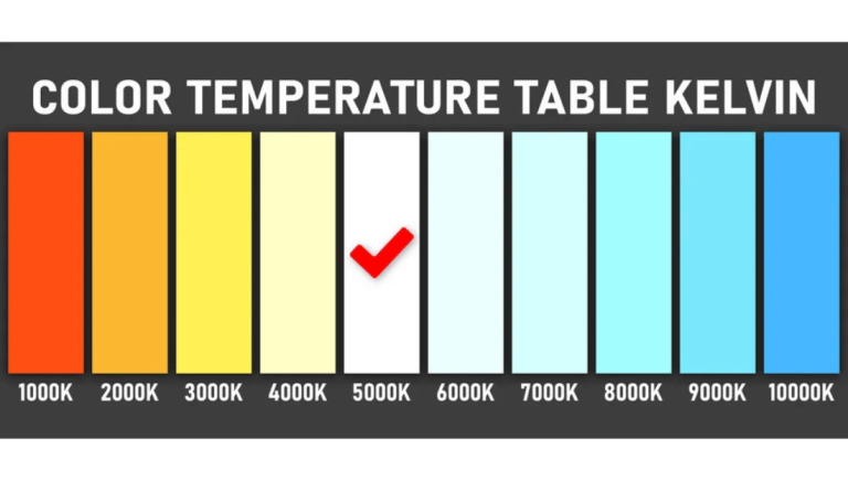 What Color Temperature (K) Is Best for Biological Sample Photography?