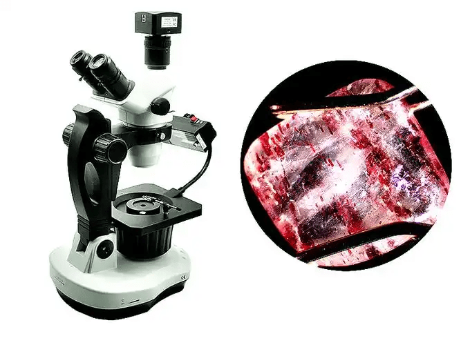 DIY Forensic Lab: How to Detect Synthetic Gemstones and Glass Fakes Using a Polarizing Microscope？