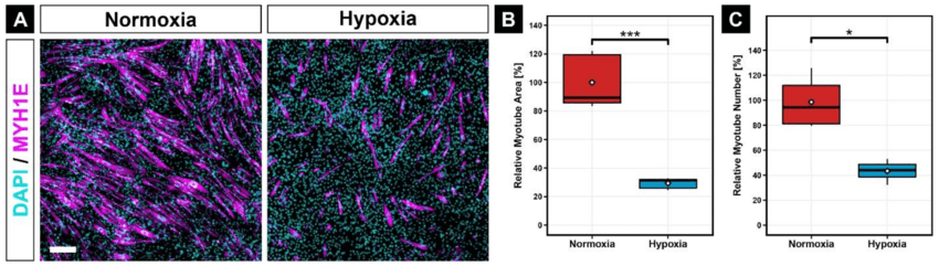 2.Fluorescent Proteins (FPs)