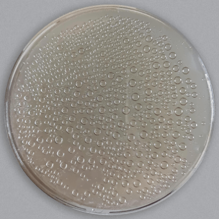 The Incubator's "Gift": Condensation