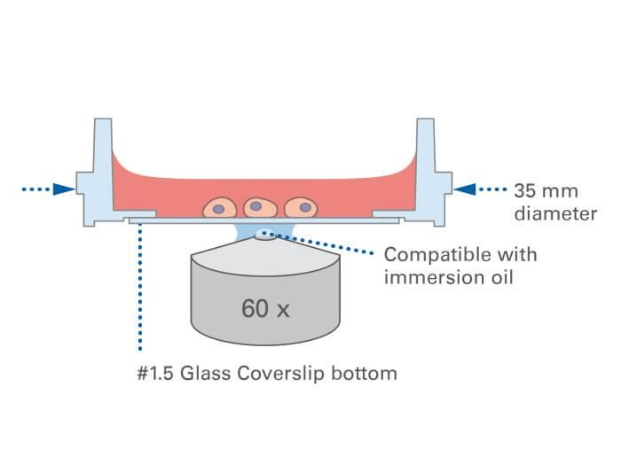 1.Phase Ring Centering: The "Soul Alignment" of Imaging