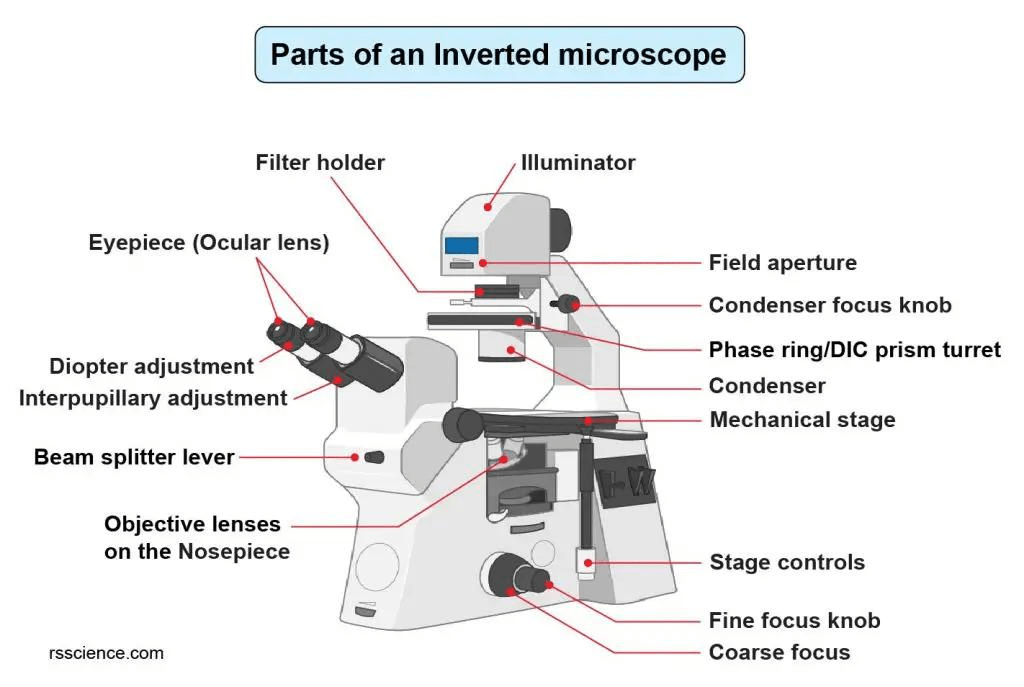 Why is my inverted microscope image blurry