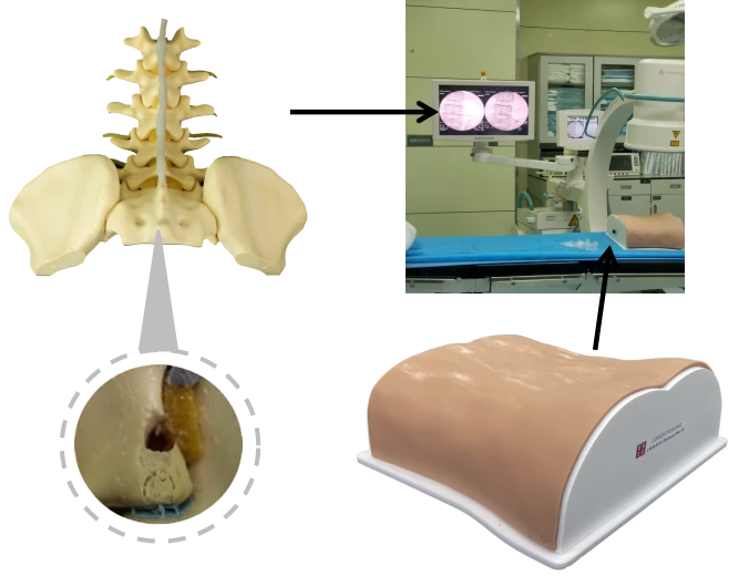 SC-LLV911S Posterior lumbar endoscopic simulation model Pro