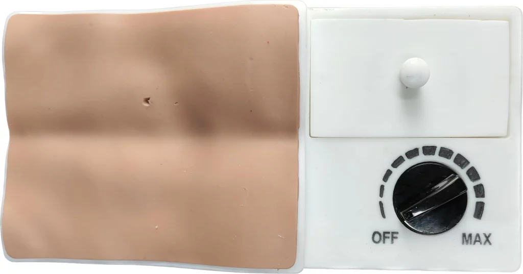 SC-LLV999 Posterior Lumbar Dual-Channel Simulation Model