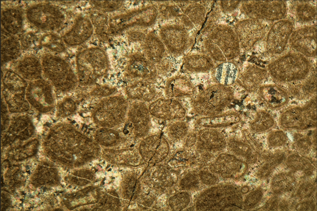 How to identify different minerals under a microscope
