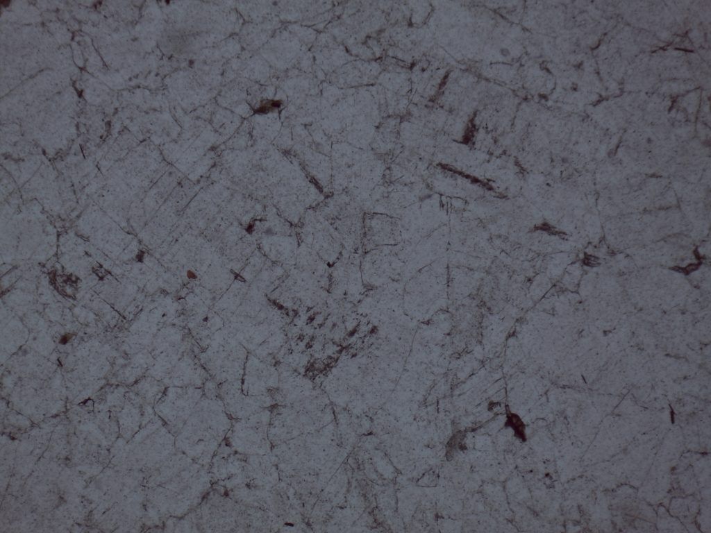 Under Cross-Polarized Light